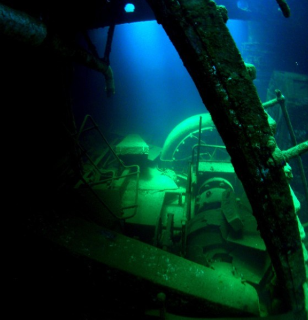 Réserve Cousteau,Bouillante Guadeloupe FWI,97125,Basse-Terre,Guadeloupe