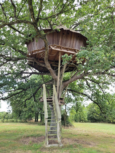 Cabane Marie_Cabanes Brin de Chevrette,Vallons-de-L'Erdre,44540,Pays de la Loire,France