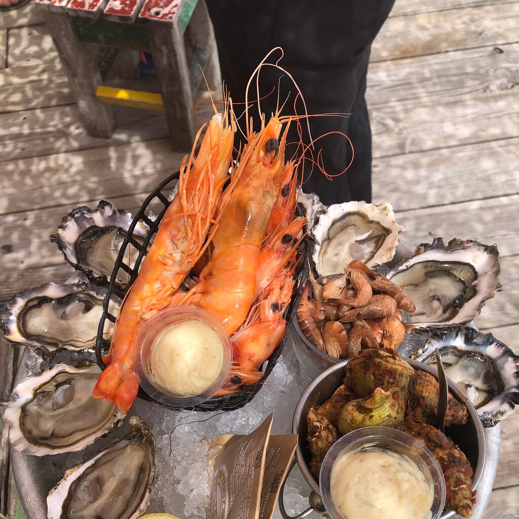 Cabane 171,Lège-Cap-Ferret,33950,Nouvelle-Aquitaine,France