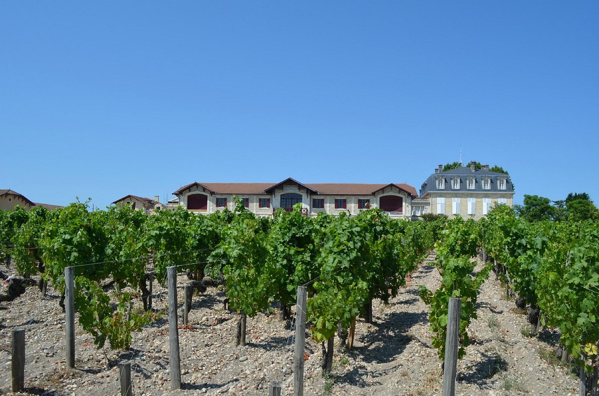 Bordeaux Saveurs,Bordeaux,33300,Nouvelle-Aquitaine,France