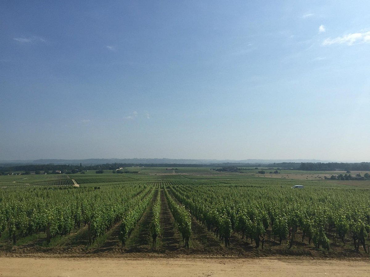 Bordeaux Saveurs,Bordeaux,33300,Nouvelle-Aquitaine,France